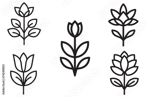 Flower With And Leaves Of Vector Design On White Background illustration