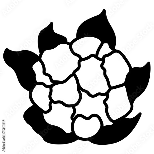 Cauliflower glyph and line vector illustration