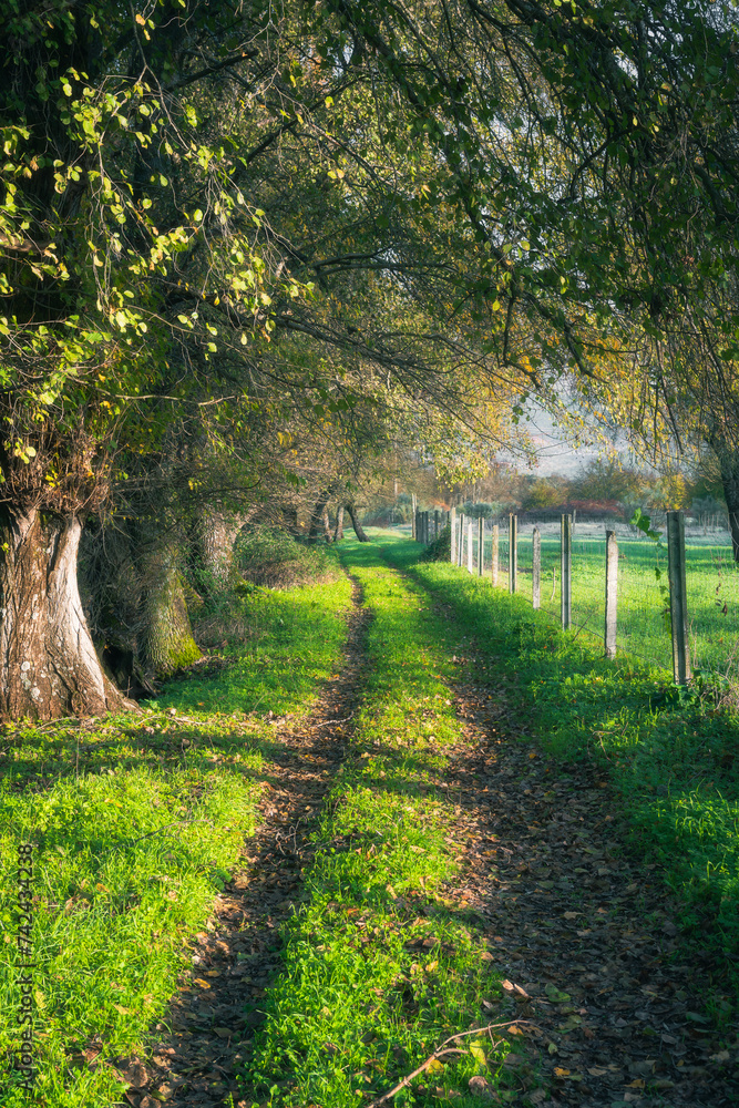 Path along the river in the Spanish countryside