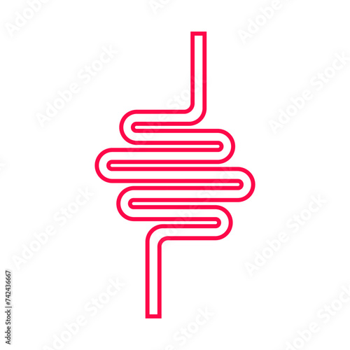 Pink intestine. Gut, digestion, digest food, nutrition, gastrointestinal tract, healthy, health, gastroenterology, immunity, beneficial bacteria, esophagus, large, small, absorb nutrients. Vector