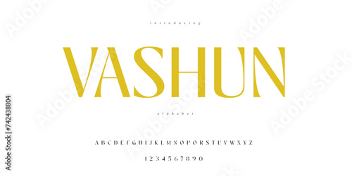 High class Brand Fashion Alphabet Serif Font