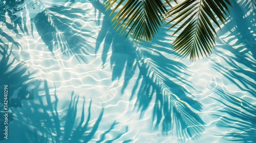 Palm leaf shadows in a summer scene move gracefully over the water, forming patterns that adorn the white sandy shore