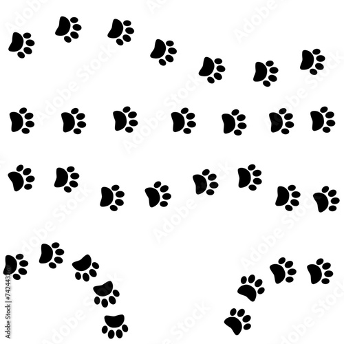 Black footprints paws directions vector illustration. Step, footstep, track direction