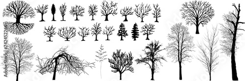Large set of trees without leaves. Vector images of different types of trees.
