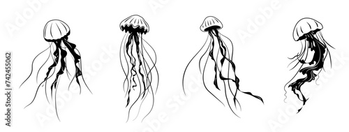 Set of Line art one line jellyfish for decoration design. Black line vector illustration on white background