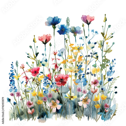 watercolor illustration flowers in the garden