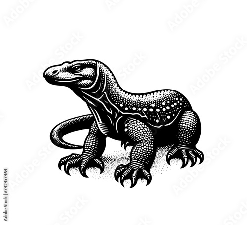 Komodo dragon hand drawn vector illustration © AriaMuhammads