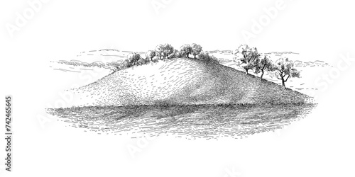 Grass on the fields hill landscape. Set of fruit trees: olive, apple, plum, apricot. Orchard, grove. Vector realistic black and white vintage sketch illustration