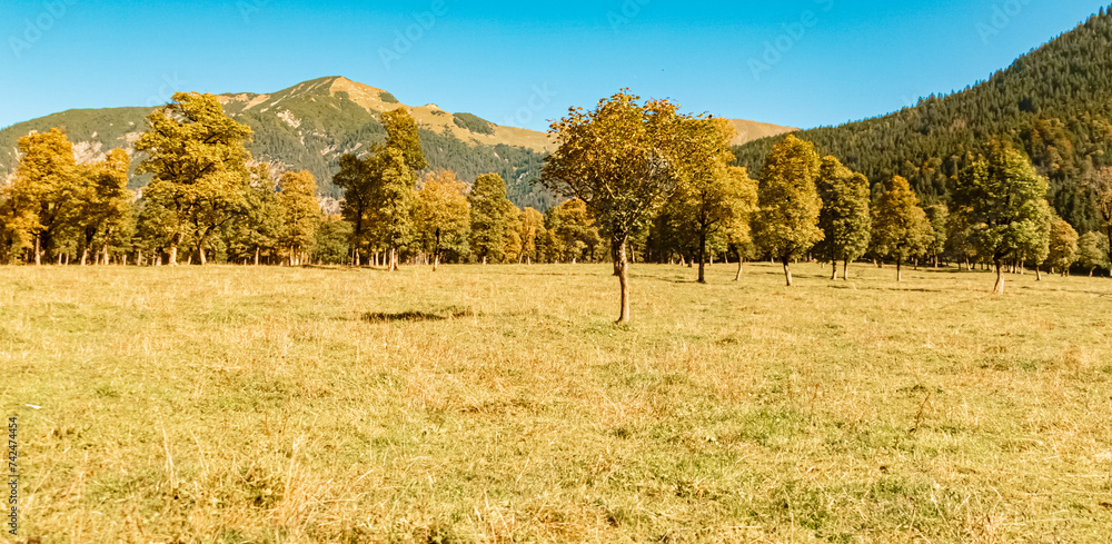 Fototapeta premium Alpine autumn or indian summer landscape shot at Grosser Ahornboden, large maple grove, Hinterriss, Schwaz, Tyrol, Austria