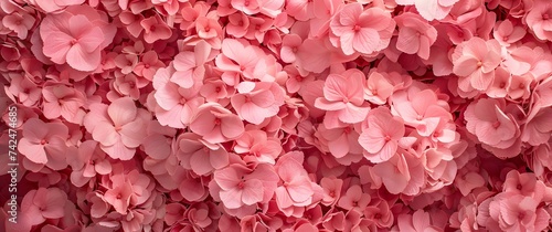 Background of pink flowers with empty space for text or greeting card design.