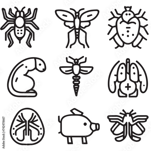 animal anatomy icons