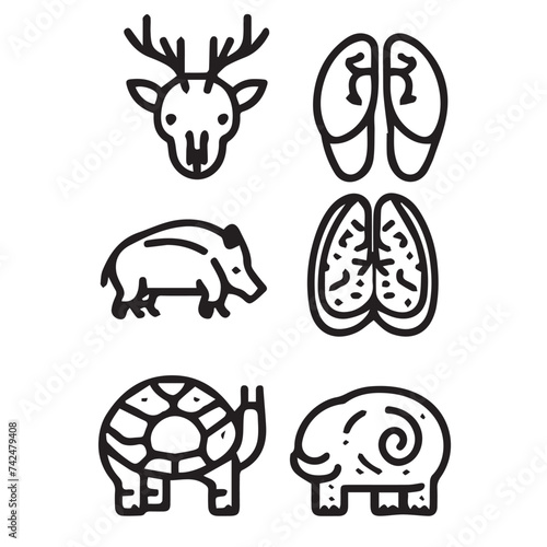 animal anatomy icons