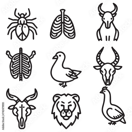 animal anatomy icons