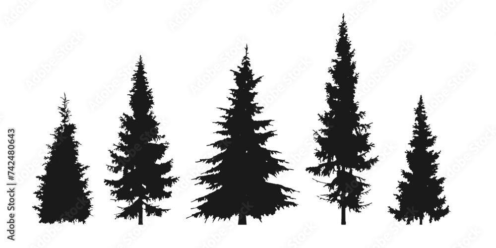 Fir, pine tree silhouette set. Forest, spurce icons. Coniferous trees. Vector illustration.