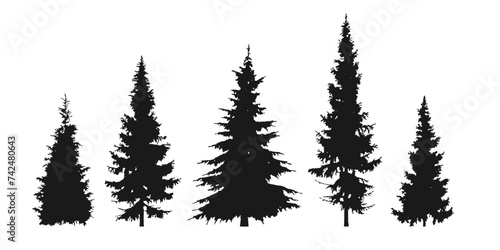 Fir  pine tree silhouette set. Forest  spurce icons. Coniferous trees. Vector illustration.