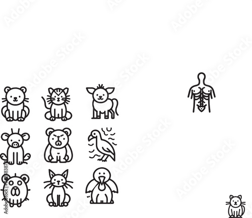 animal anatomy icons