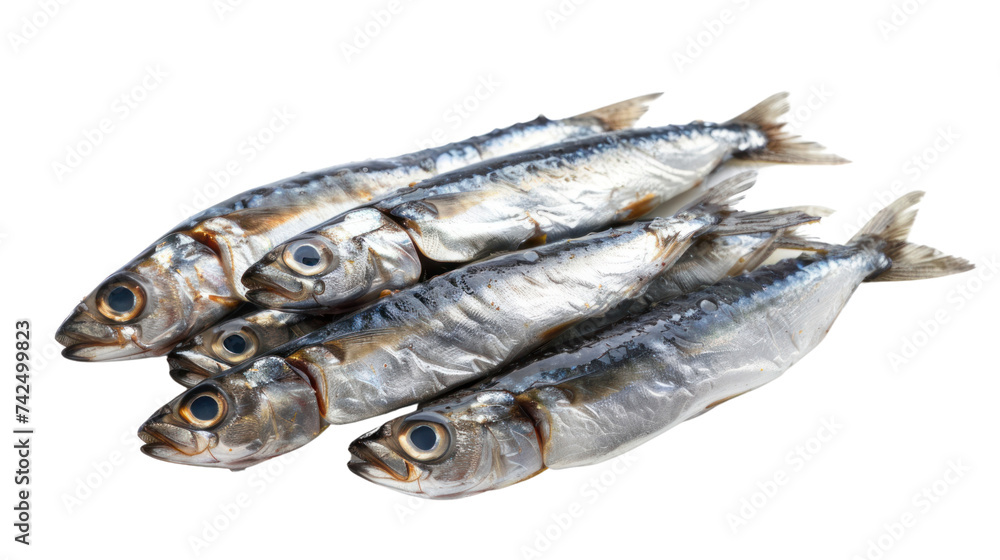 Fresh raw sardines isolated on transparent and white background.PNG image Fresh raw sardines isolated on transparent and white background.PNG image