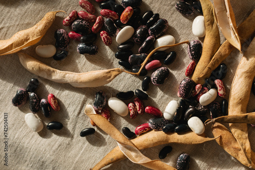 Overhead view of assorted black beans, pinto beans, red beans, chilli beans and kidney beans on a table photo