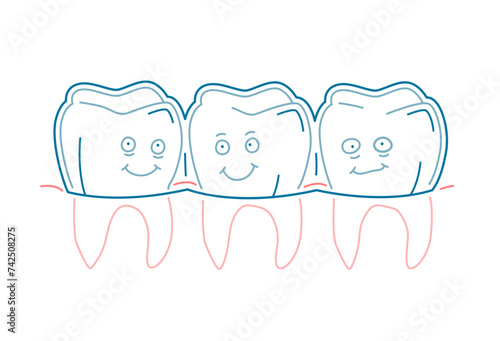 Orthodontic silicone trainer. Invisible braces aligner, retainer.