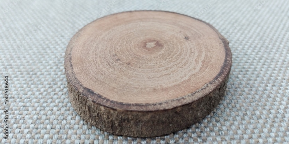 Naklejka premium cross section of tree trunk