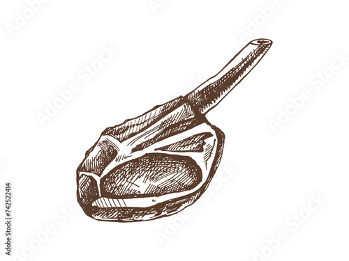 Organic food. Hand-drawn vector sketch of beef steak, piece of meat on the bone. Doodle vintage illustration. Decorations for the menu of cafes and labels. Engraved image..