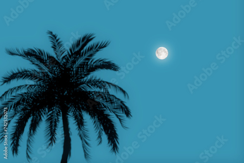 Silhouette of a Palm Tree Against the Background of the Evening Sky with the Moon. 3d Rendering