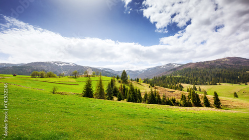 panoramic view of carpathian countryside in spring. mountainous rural landscape of ukraine with forested rolling hills and grassy meadows on a sunny day
