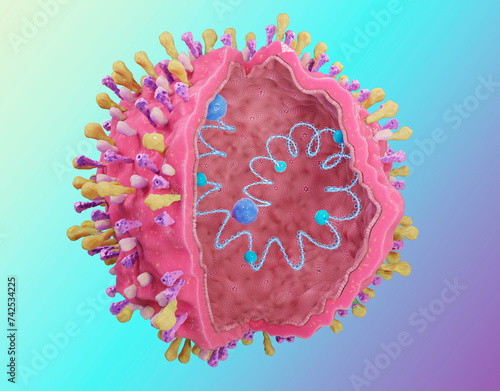 Respiratory syncytial virus structure - RSV, with its envelope proteins G, F, SH and inside the RNA, proteins N, P, L and M. The RSV virus can cause respiratory infections. 3d illustration. photo