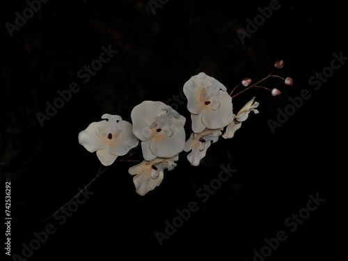 synthetic flowers or artificial flowers on a dark background photo