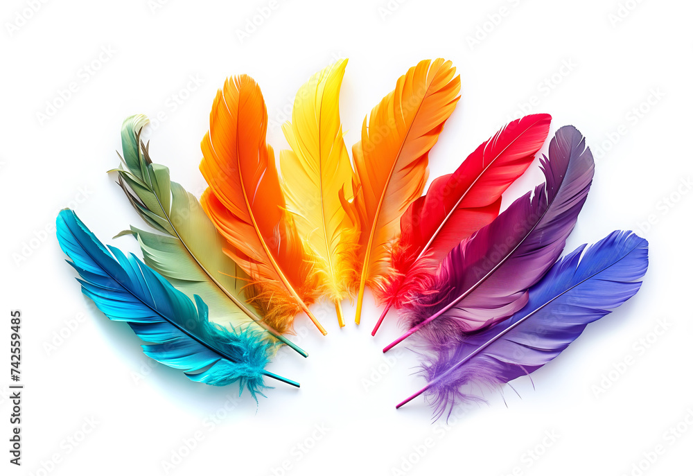 Fototapeta premium Colourful feathers isolated on white background. Easter greeting card