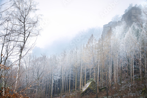 Zschirnstein with snow-covered trees and misty clouds at the summit during a hike