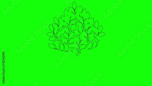 Animated linear black icon of tree with leaves. Line symbol is drawn gradually. Concept of organic food, gardening, ecology, nature. Vector illustration isolated on green background.