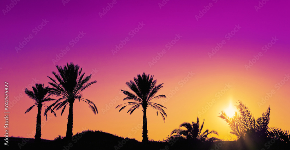Palm trees against a background of purple-yellow gradient sunset sky