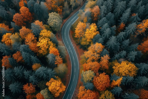 Drone photo of an autumn forest with a road winding through it. Aerial landscape photo. © steevy84