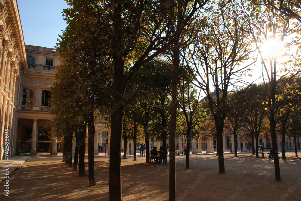 old stone hall and trees at the palais-royal in paris in france old stone hall and trees at the palais-royal in paris in france