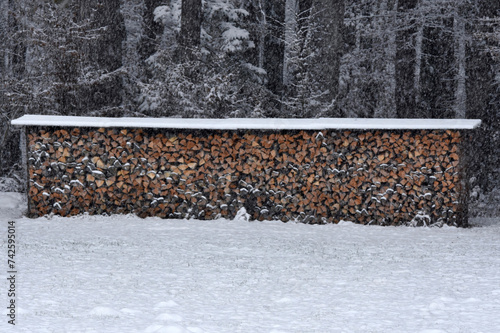 Ordnung in der Winterlandschaft -Waldrand, Holzstapel, schneebedeckte Wiese- 