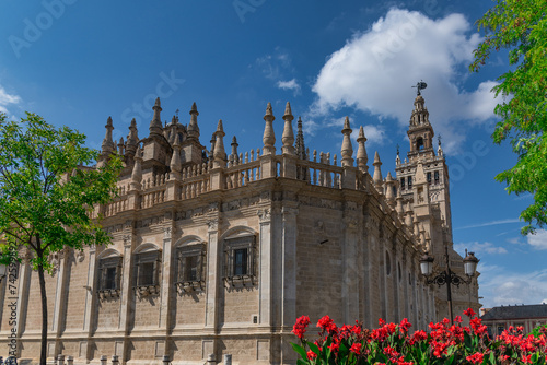 Seville cathedral Giralda tower from Alcazar of Sevilla Andalusia Spain photo