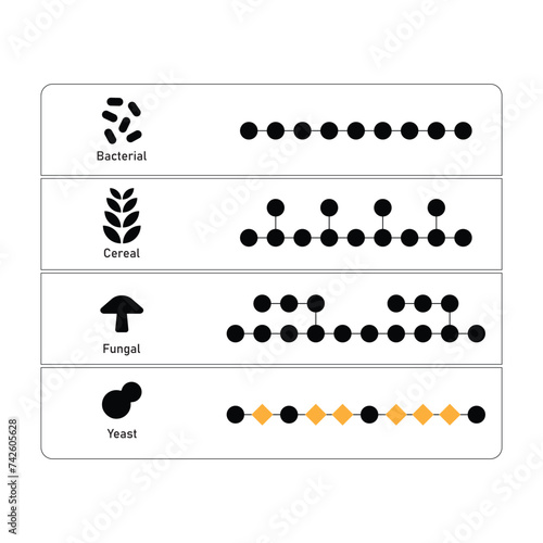 Types of Beta Glucan Molecule Structure Scientific Design. Vector Illustration. 