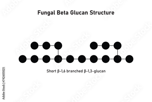 Fungal Beta Glucan Molecule Structure Scientific Design. Vector Illustration.	