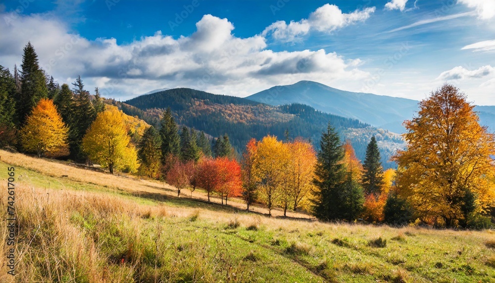 autumn in carpathian mountains