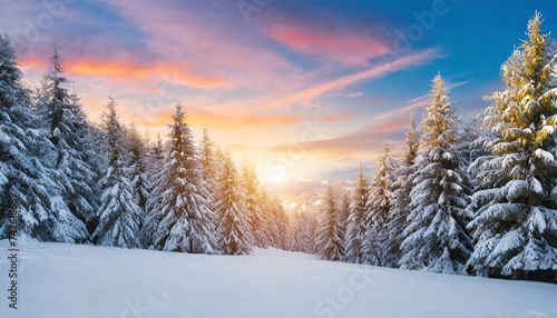 winter landscape wallpaper with pine forest covered with snow and scenic sky at sunset snowy fir tree in beauty nature scenery christmas and new year greeting card background