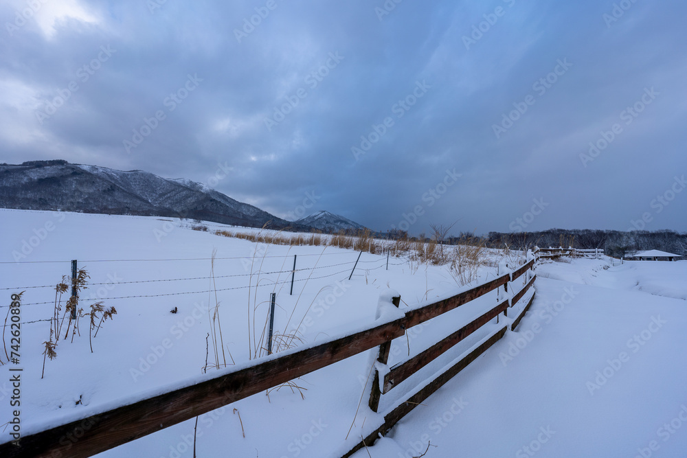 冬の蒜山牧場の風景