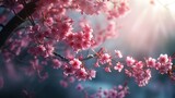 Close up Branch with sakura flowers