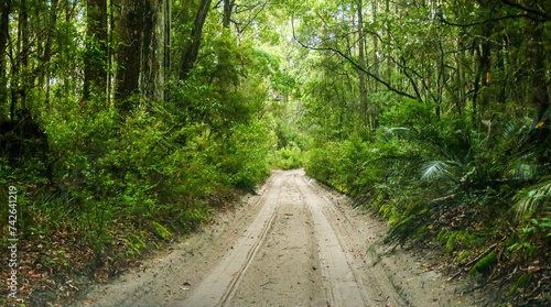 Wheel tracks on a sandy road in the Great Sandy National Park on Fraser Island, off the coast of Queensland in Australia - First person view of 4x4 driving in a rainforest