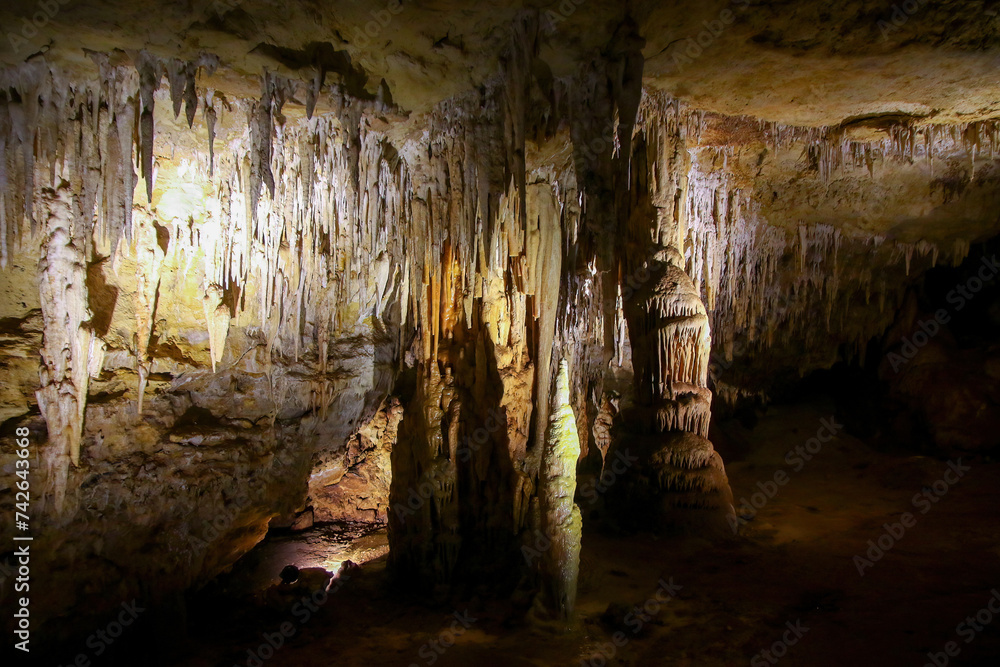 Drapery in the Blanche Cave in the Naracoorte Caves National Park in South Australia Drapery in the Blanche Cave in the Naracoorte Caves National Park in South Australia