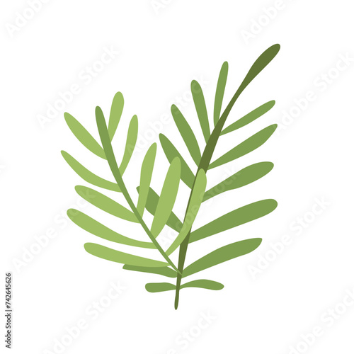 Leaves Isolated on White Background. Vector Illustration in Flat Simple Style.