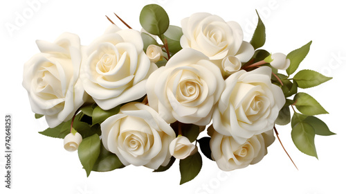 bouquet of white roses  isolated on transparent background  png file