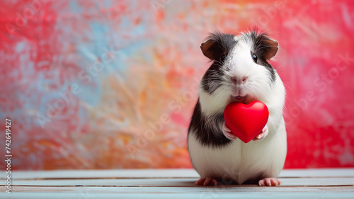 Guinea Pig Holding a Heart photo