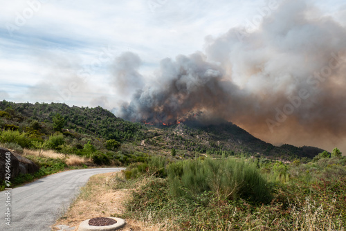 Travessia ardente: Estrada ladeando um monte em chamas, Envolto por labaredas e nuvens de fumaça photo