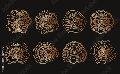 Background of abstract growth rings of a tree.Line design of a wooden stump.Tree cut pattern.Vector topographic map concept. 